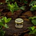 Табак WTO Tanzania T13 Pepper Mint (ВТО Танзания Перечная мята) 20 г