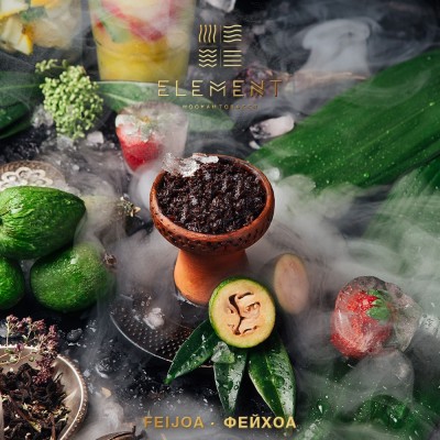 Табак Element (Земля) Feijoa Lemonade (Лимонад Фейхоа) 200 г