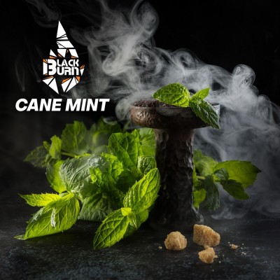 Табак Burn Black Cane Mint (Тростниковая мята) 100 г