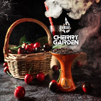 Табак Burn Black Cherry Garden (Вишня) 25 г